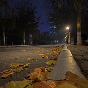 勉为其难（王冕）