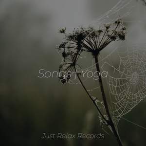 Enshrouded in Hazy Bliss