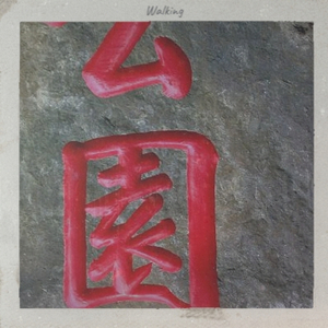 Going Back To New Orleans