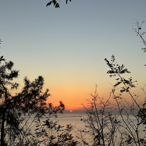 放假前的心已远飞