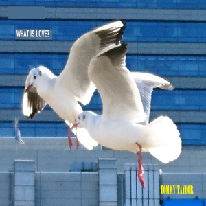 「愛」って何？