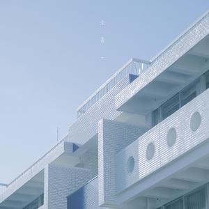 소홀