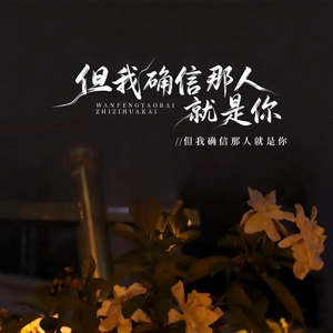 但我确信那人就是你