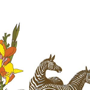 Just Above The Tummy Button