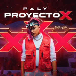 Proyecto X