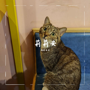 莉莉安（吉他版）