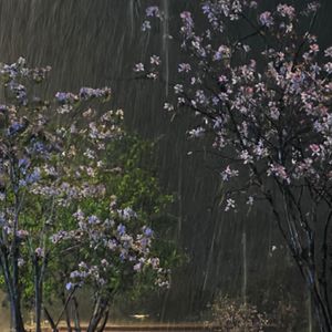 Deceive oneself（prod.tired）