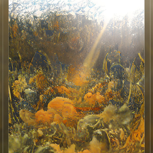 PLANET OF LIGHT