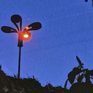 王老头（prod. .）