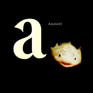 Axolotl