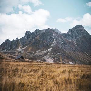 旷野之声Voice of the Wilderness_OP.3