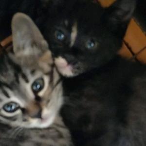 对话般独白（prod.NO Birthday）