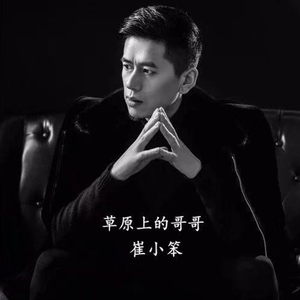 草原上的花正开