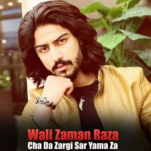 Der Umeedona Me Nemgari