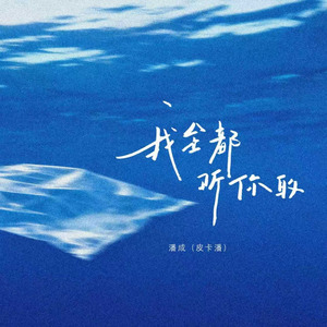 我全都听你的（DJ李雪饼版)