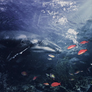 love me dont hate me