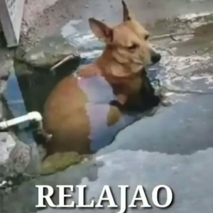 Relajao