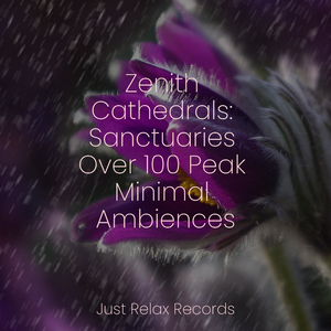 Petal Peaceful Melody