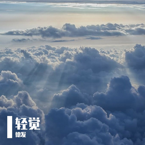 杆排蚀打