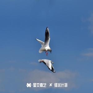 优美动听旋律 - V25