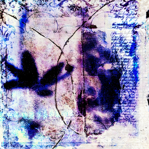 нет модной одежды