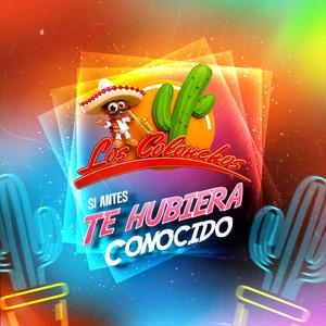 Si Antes Te Hubiera Conocido