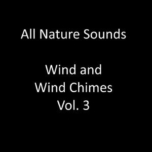 Chimes Ringing in a High Wind