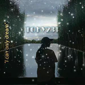 梁老师Tsong-不如不见（TOKY23T remix）