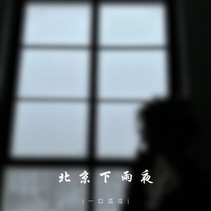 北京下雨夜