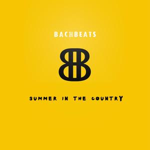 Summer In The Country