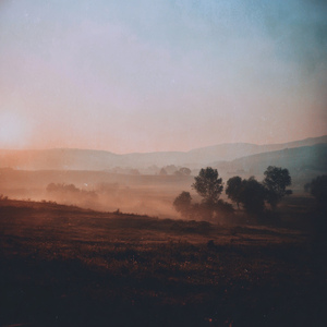 Morning Light