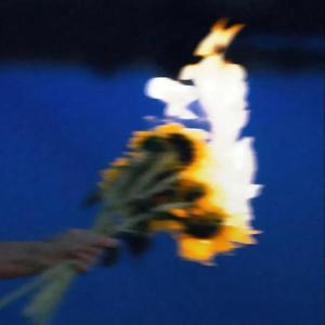 我是不是该安静的离开