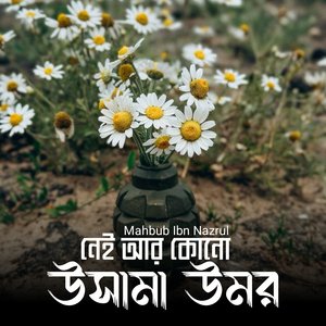 নেই আর কোনো উসামা ওমর