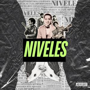 NIVELES