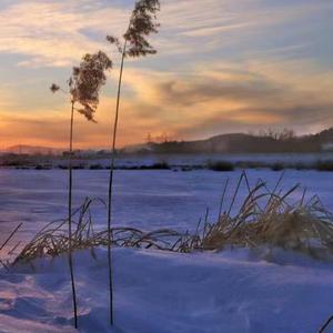 带着虚伪的面具