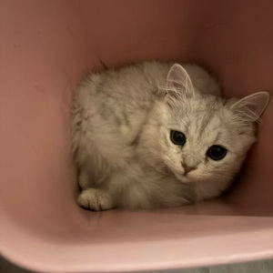 “用回忆换未来可能”