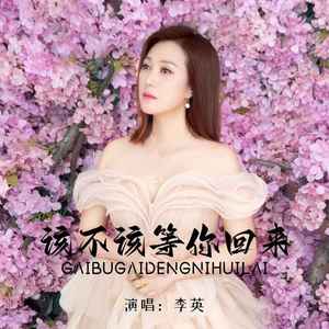 该不该等你回来 (DJ默涵版)