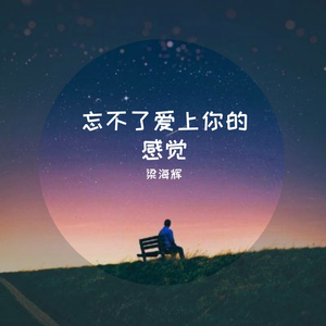 忘不了爱上你的感觉 伴奏