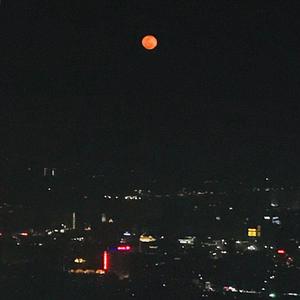 这块墓碑上会刻着你和我的名字