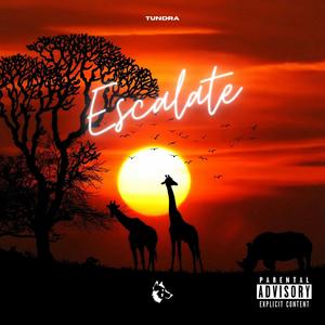 Escalate