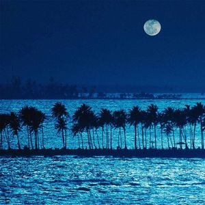 睡眠音乐 自然放松的音乐