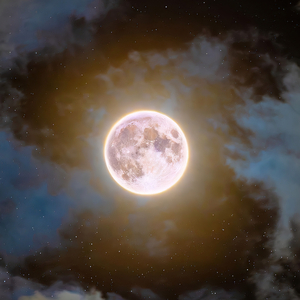 无条件为你（Cover梁静茹)