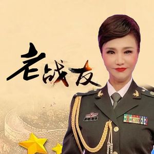 老战友