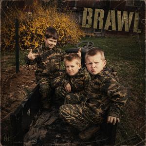 brawl