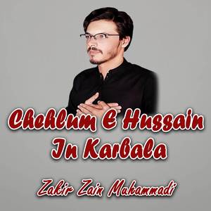 Chehlum E Hussain In Karbala