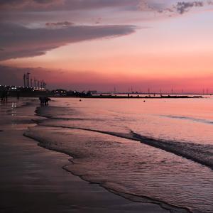 古琴的声音 伴奏