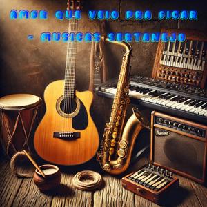 No Teu Abraço, Eu Me Encontrei O melhor do Sertanejo