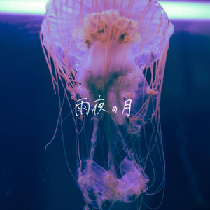 雨夜の月