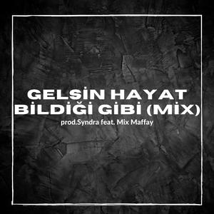 Gelsin Hayat Bildiği Gibi (feat. Mix Maffay) (Mix)
