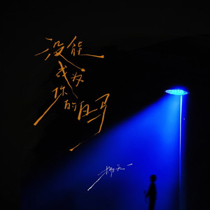 没能成为你的白马